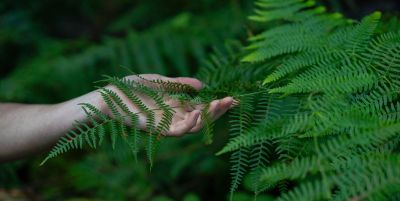 Eine Hand greift nach Pflanzen