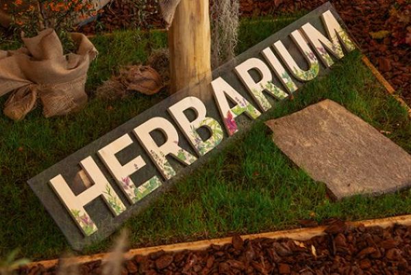 Ein Holzsschild mit der Aufschrift Herbarium in der Therme Euskirchen