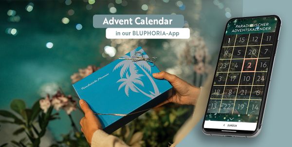 Advent calendar in the Bluphoria app