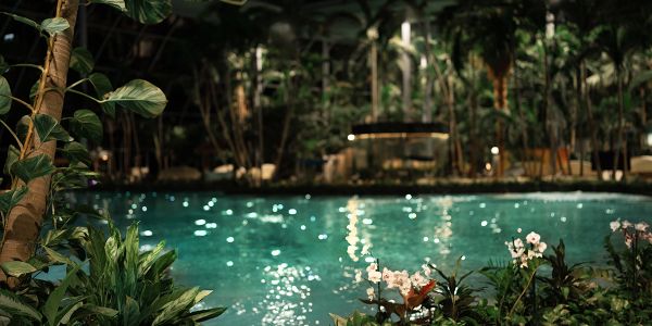 Ausblick auf das Palmenparadies bei Nacht in der Therme Euskirchen
