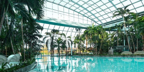 Palmenparadies in der Therme Euskirchen