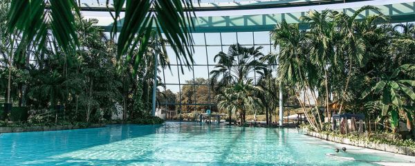 Übersicht über die Große Lagune  in der Therme Euskirchen