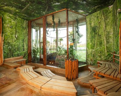 Sitzbank der Tropen-Sauna    