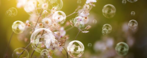 Nahaufnahme von Seifenblasen vor einer Blumenwiese
