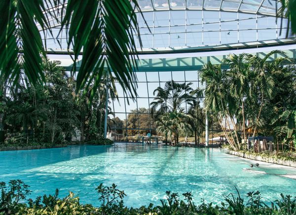 Das Palmenparadies in der Therme Euskirchen