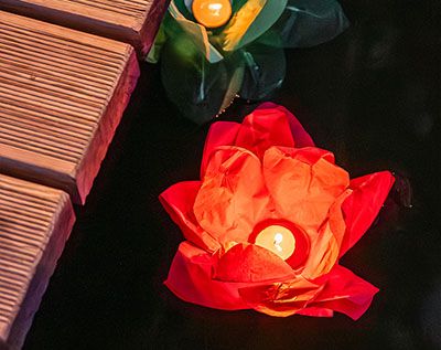 Bunte Stimmung im Palmenparadies