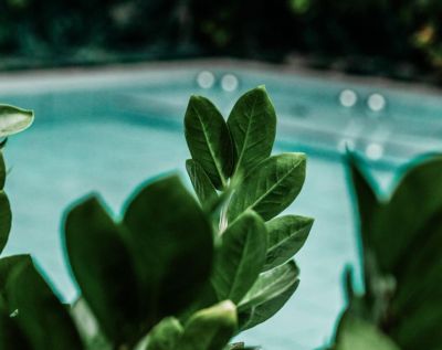 Vitalbecken mit Pflanzen im Vordergrund