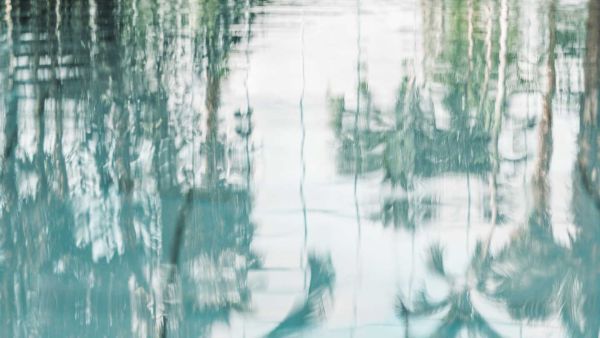 Detailaufnahme Tauchbecken