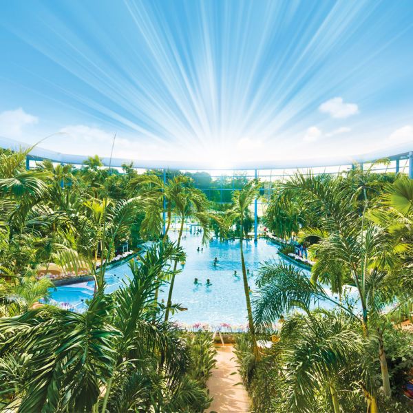 Panoramabild vom Palmenparadies