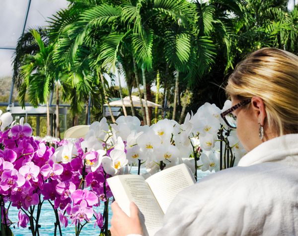 Woman reading a book in the Palmenparadies